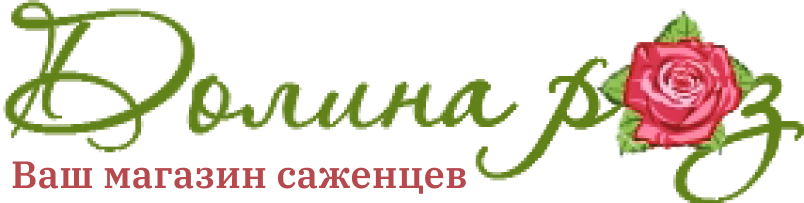 Долина роз - саженцы почтой Долина роз - саженцы почтой