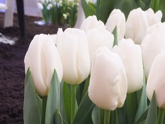 НоменклатураПрисоединенныеФайлы НоменклатураПрисоединенныеФайлы