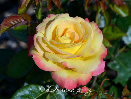 ВосточныйЭкспресс с ВосточныйЭкспресс с