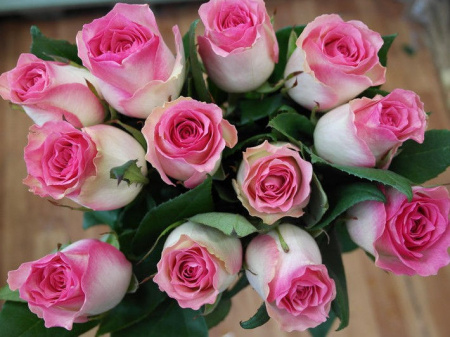 НоменклатураПрисоединенныеФайлы НоменклатураПрисоединенныеФайлы