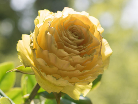 НоменклатураПрисоединенныеФайлы НоменклатураПрисоединенныеФайлы