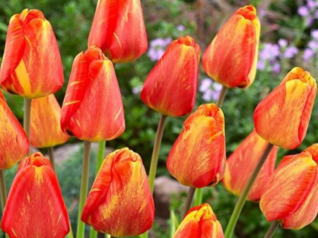 НоменклатураПрисоединенныеФайлы НоменклатураПрисоединенныеФайлы