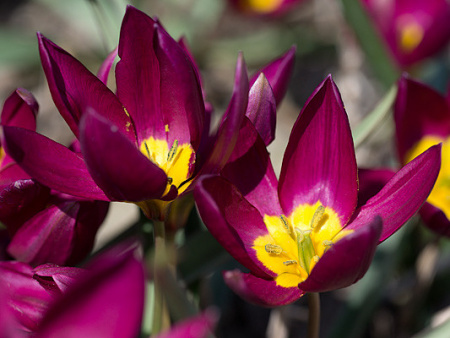 НоменклатураПрисоединенныеФайлы НоменклатураПрисоединенныеФайлы