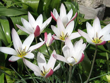 НоменклатураПрисоединенныеФайлы НоменклатураПрисоединенныеФайлы