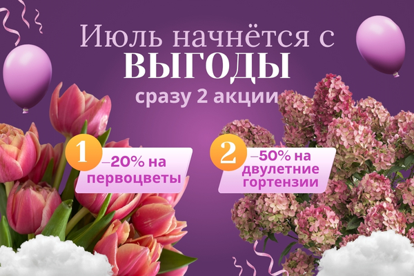 Июль начнётся с выгоды! Сразу две акции внутри фото Июль начнётся с выгоды! Сразу две акции внутри фото